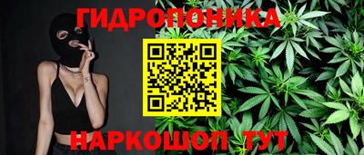 каннабис Кингисепп