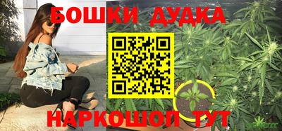 каннабис Кингисепп