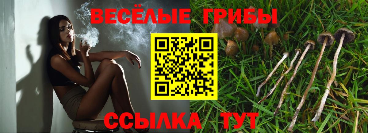 Псилоцибиновые грибы Magic Shrooms  Галлюциногенные грибы GOLDEN TEACHER  Карталы  Вход с VPN 